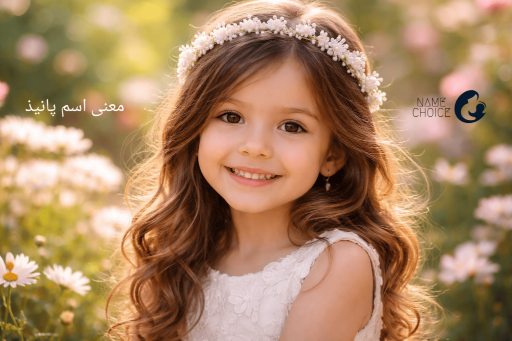 معنی اسم پانیذ